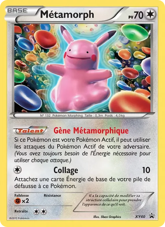 Métamorph XY40 – Promo XY
