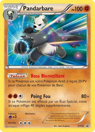 Pandarbare n° XY50 – Promo XY