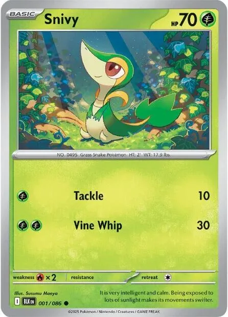 Snivy 1 – Fulgor Negro