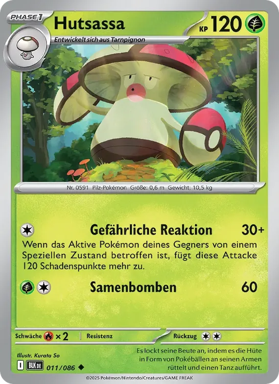 Hutsassa 11 – Schwarze Blitze