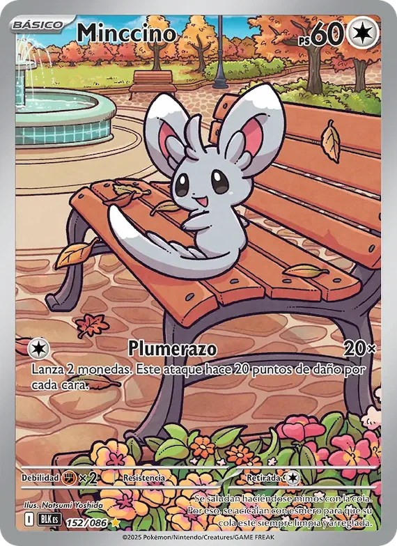 Minccino 152 – Fulgor Negro