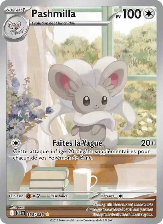 Pashmilla 153 – Foudre Noire