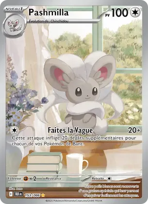 Pashmilla n° 153 – Foudre Noire