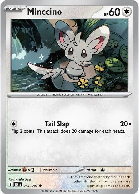 Minccino 75 – Luce Nera