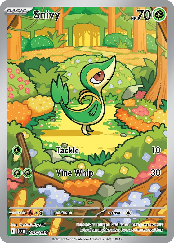 Snivy #87 – Black Bolt