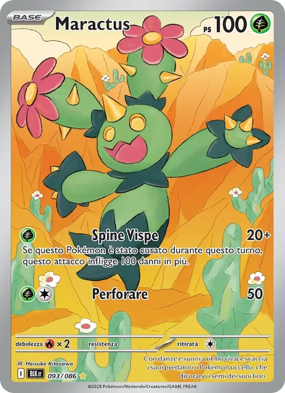 Maractus 93 – Luce Nera