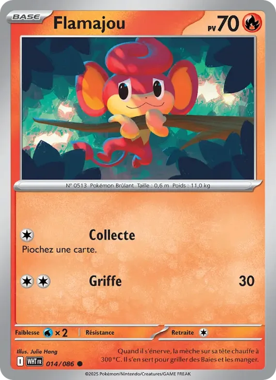 Flamajou (motif Master Ball) 14 – Flamme Blanche