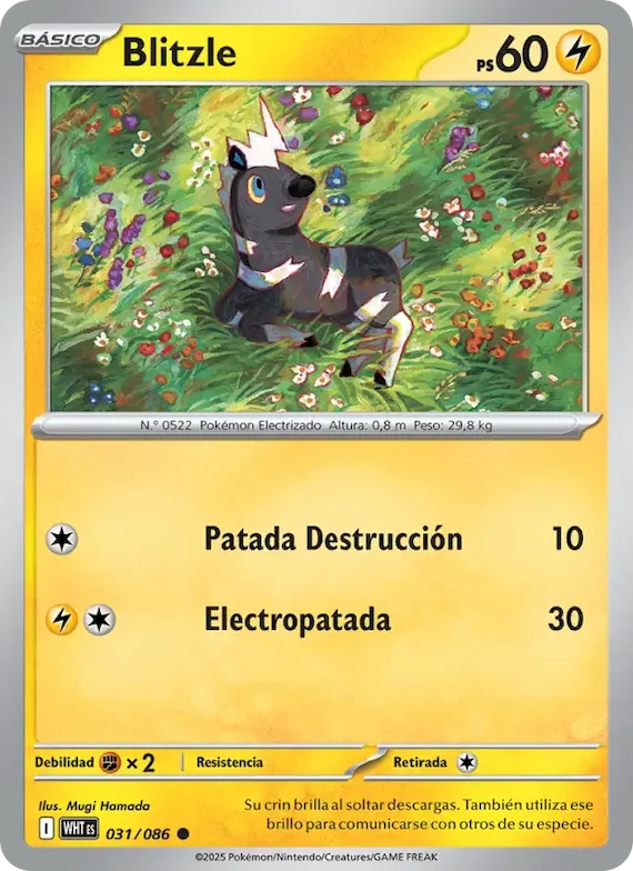 Blitzle (motivo Master Ball) 31 – Llama Blanca