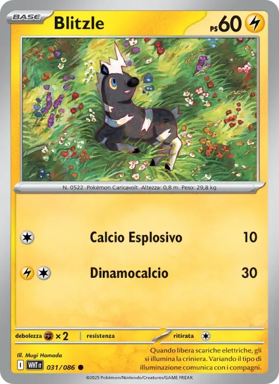 Blitzle (motivo Master Ball) 31 – Fuoco Bianco