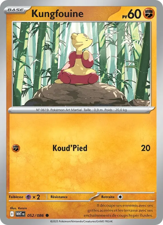 Kungfouine (motif Master Ball) 52 – Flamme Blanche