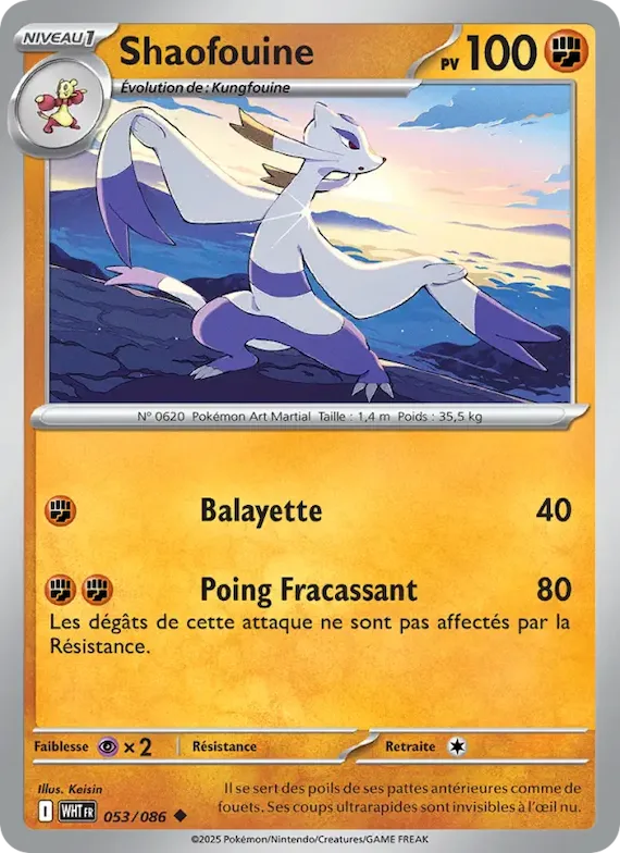 Shaofouine (motif Master Ball) 53 – Flamme Blanche