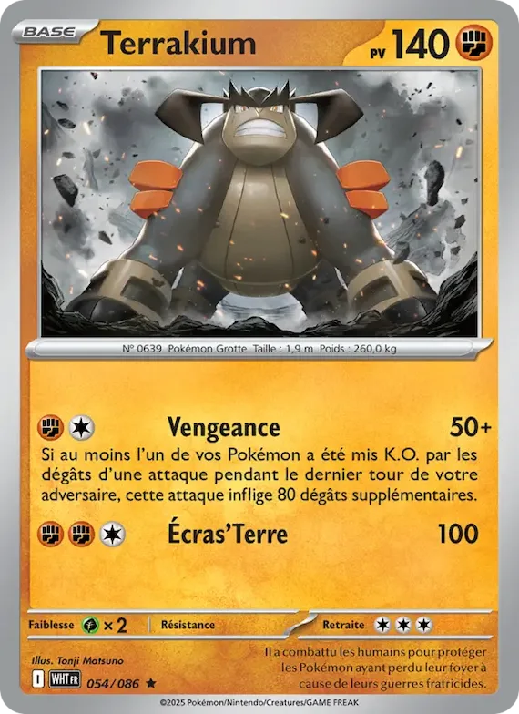 Terrakium (motif Master Ball) 54 – Flamme Blanche