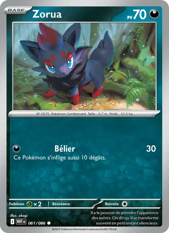 Zorua (motif Master Ball) 61 – Flamme Blanche
