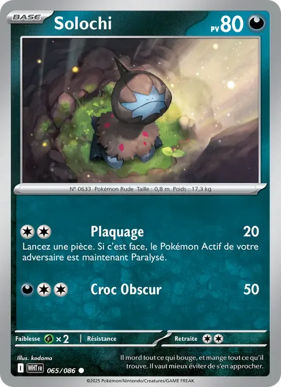 Solochi (motif Master Ball) 65 – Flamme Blanche