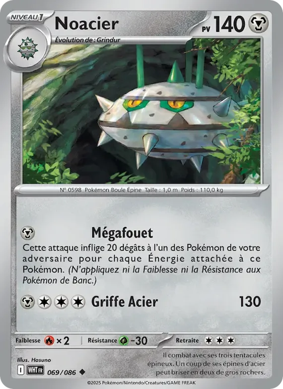 Noacier (motif Master Ball) 69 – Flamme Blanche