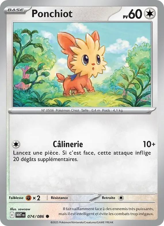Ponchiot (motif Master Ball) 74 – Flamme Blanche