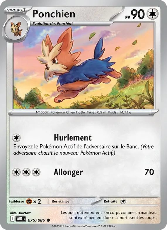 Ponchien (motif Master Ball) 75 – Flamme Blanche