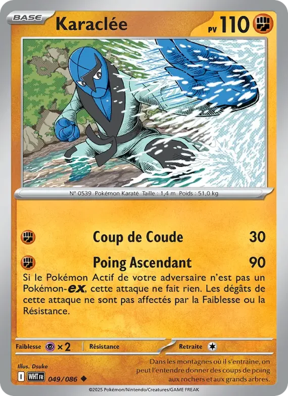 Karaclée (motif Poké Ball) 49 – Flamme Blanche