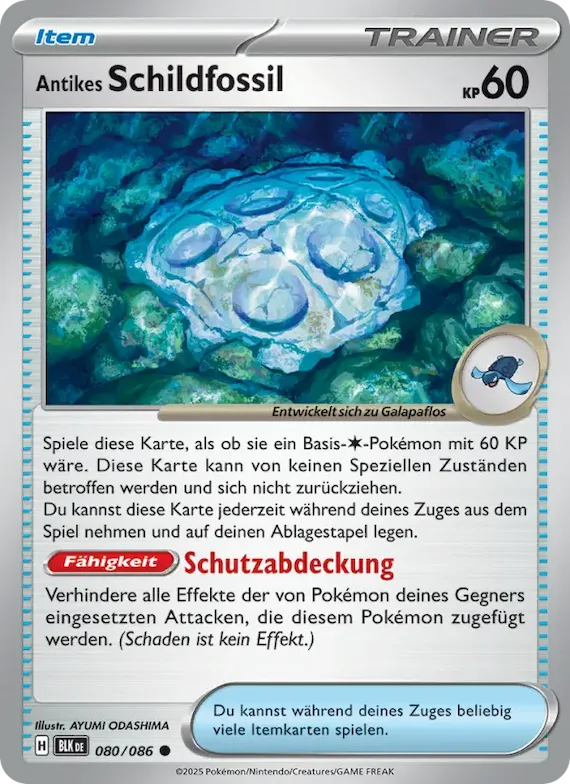 Antikes Schildfossil 80 – Schwarze Blitze