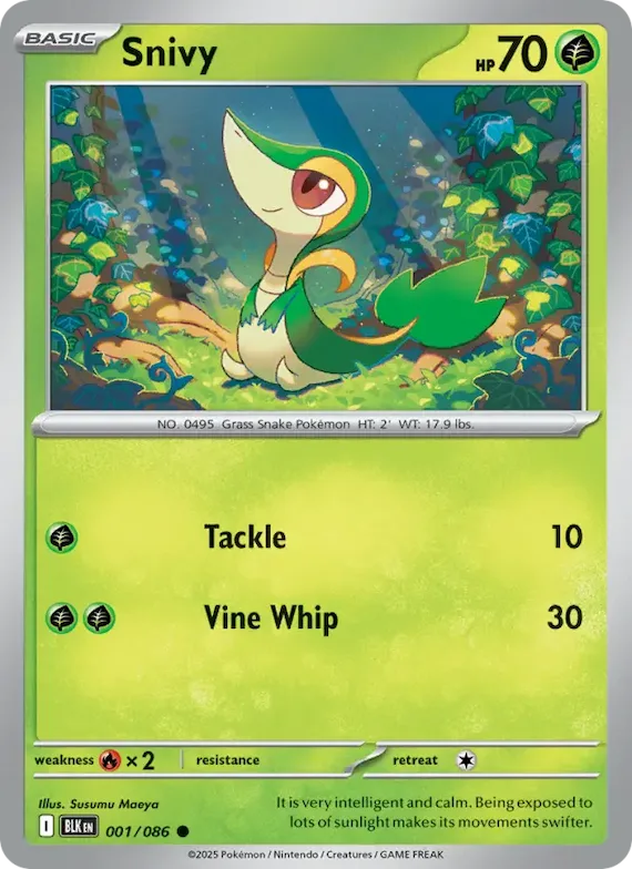 Snivy (Master Ball Pattern) #1 – Black Bolt