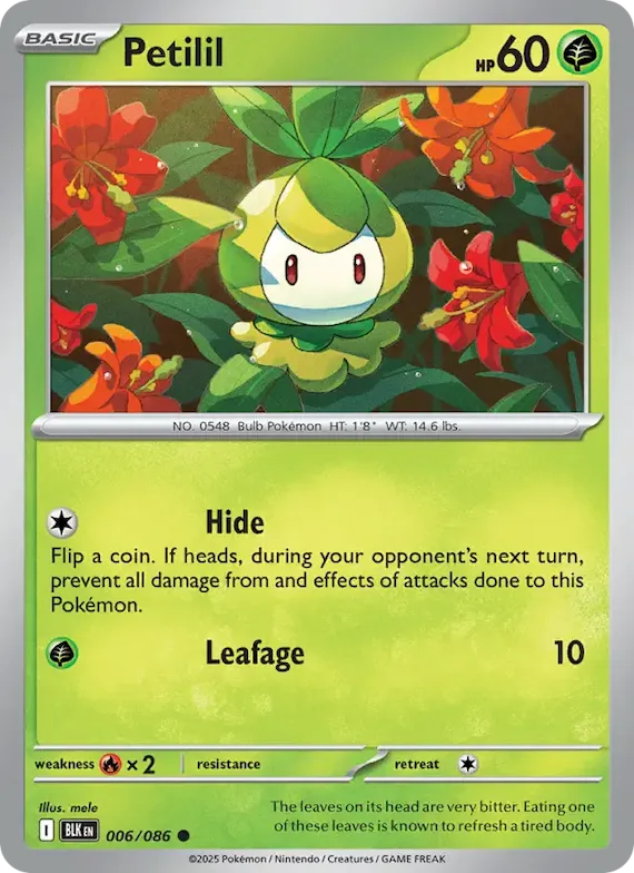 Petilil (Master Ball Pattern) #6 – Black Bolt