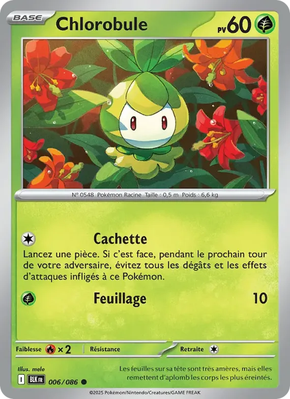 Chlorobule (motif Master Ball) 6 – Foudre Noire