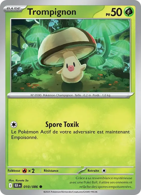 Trompignon (motif Master Ball) 10 – Foudre Noire