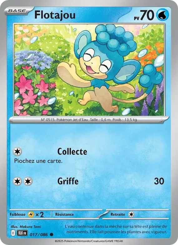 Flotajou (motif Master Ball) 17 – Foudre Noire