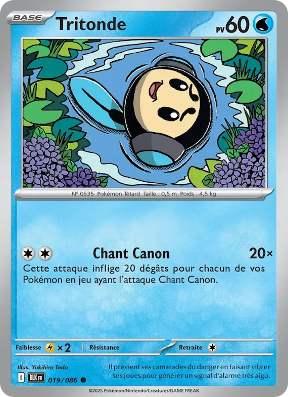 Tritonde (motif Master Ball) 19 – Foudre Noire