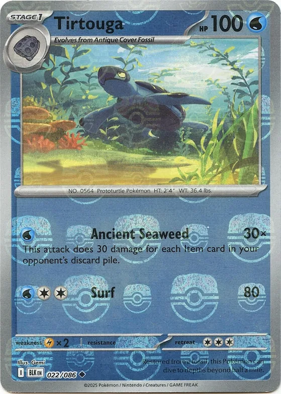 Carapagos (motif Master Ball) 22 – Foudre Noire