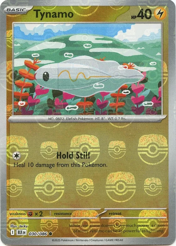Tynamo (Master Ball Pattern) #30 – Black Bolt