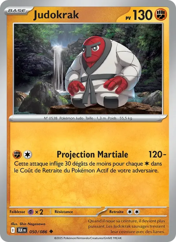 Judokrak (motif Master Ball) 50 – Foudre Noire