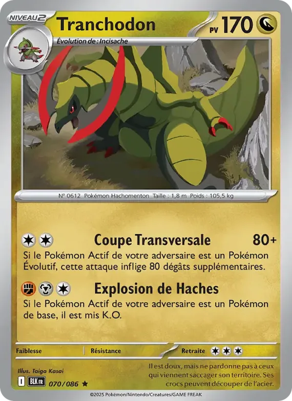 Tranchodon (motif Master Ball) 70 – Foudre Noire