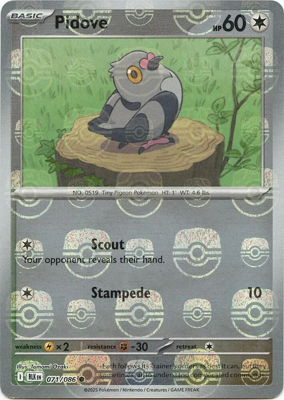 Pidove (Master Ball Pattern) #71 – Black Bolt