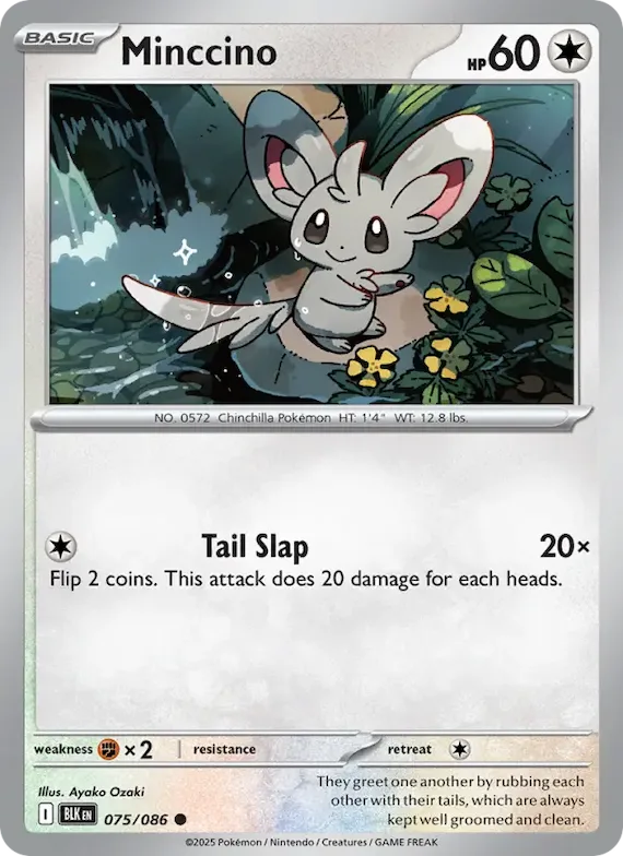 Minccino (Master Ball Pattern) #75 – Black Bolt