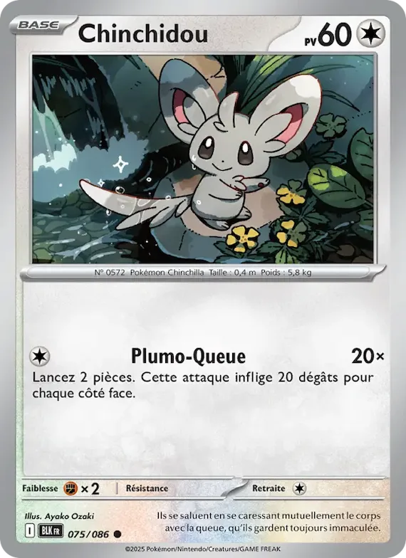 Chinchidou (motif Master Ball) 75 – Foudre Noire