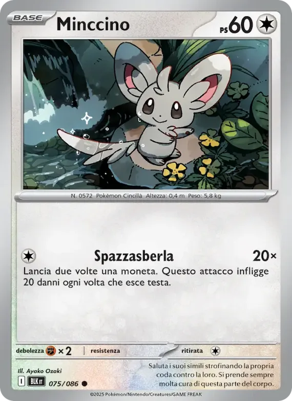 Minccino (motivo Master Ball) 75 – Luce Nera