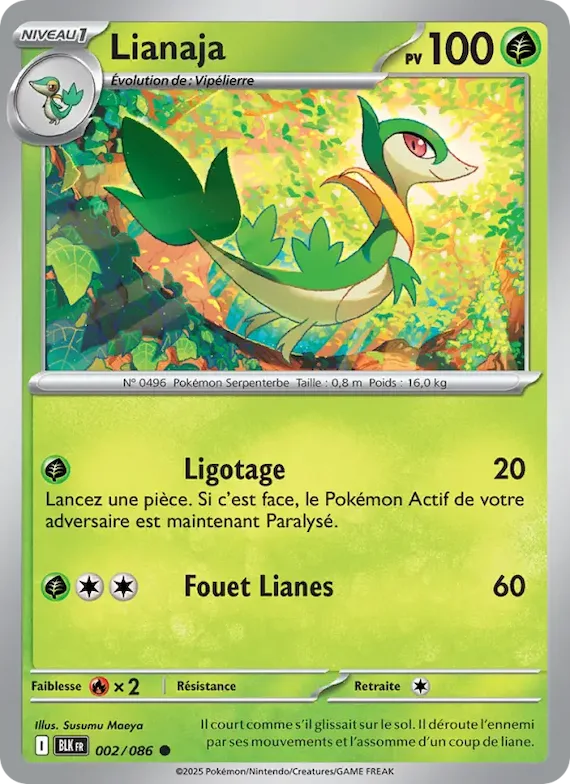 Lianaja (motif Poké Ball) 2 – Foudre Noire
