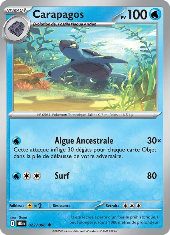 Carapagos (motif Poké Ball) 22 – Foudre Noire