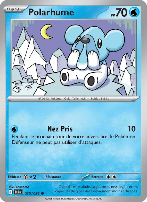 Polarhume (motif Poké Ball) 25 – Foudre Noire