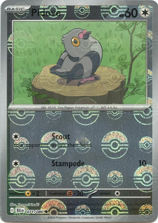 Poichigeon (motif Poké Ball) 71 – Foudre Noire