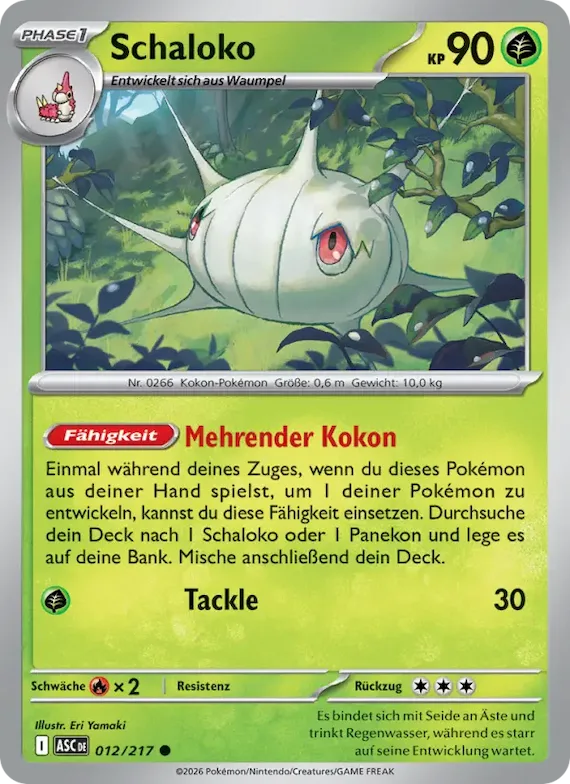 Schaloko (Energiesymbol-Muster) 12 – Erhabene Helden