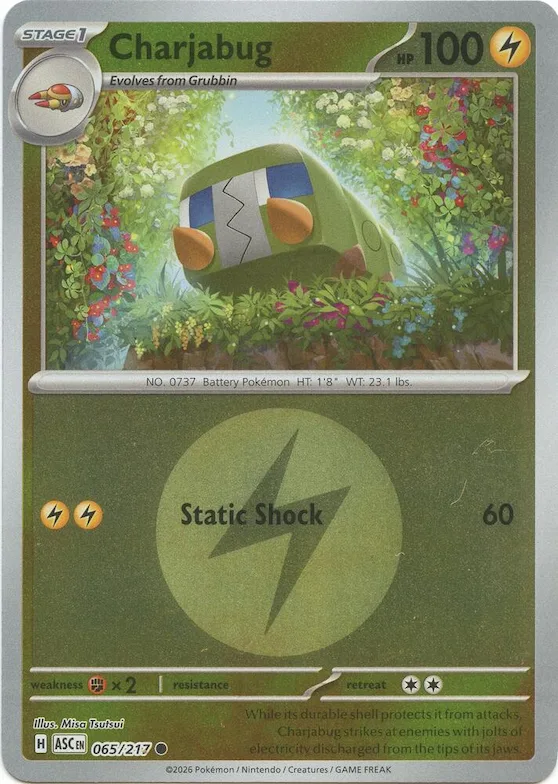 Charjabug (motivo simbolo Energia) 65 – Ascesa Eroica