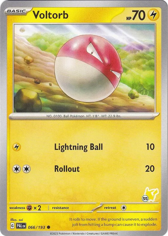 Voltorb - Pikachu 55 #66 – Battle Academy 2024
