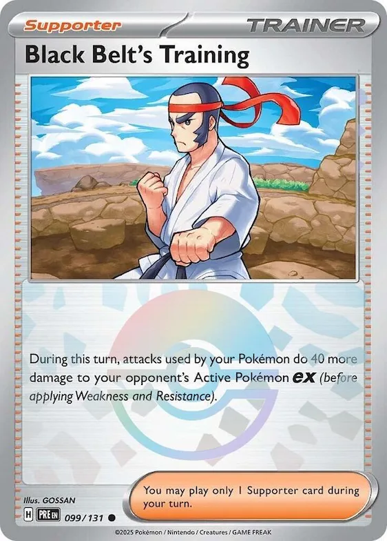 Entrenamiento de Karateka (motivo Poké Ball) 99 – Evoluciones Prismáticas