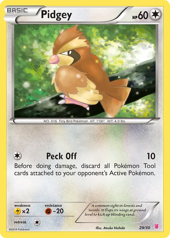 Pidgey (#29) #29 – XY Trainer Kit: Sylveon & Noivern