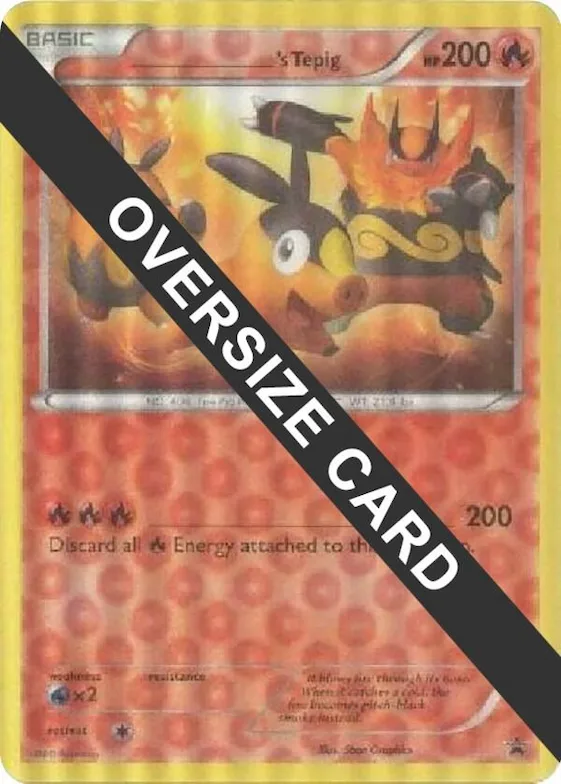 ______'s Tepig #n – XY Trainer Kit: Sylveon & Noivern