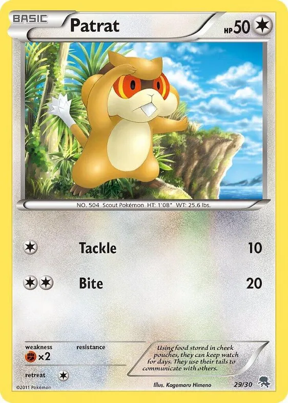 Patrat (#29) #29 – BW Trainer Kit: Excadrill & Zoroark