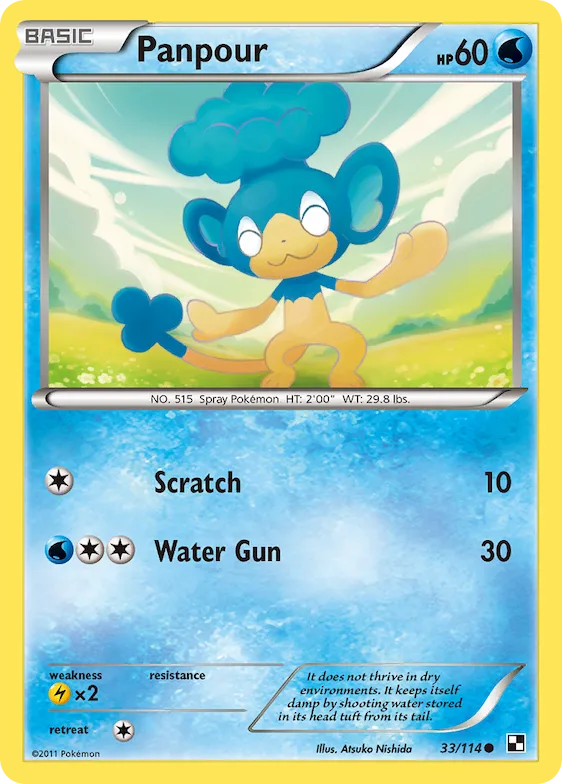 Panpour (Energy Holo) #33 – Miscellaneous Cards & Products