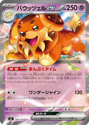 Dachsbun ex #348 – Start Deck 100 Battle Collection